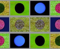 noisefiledsjpg